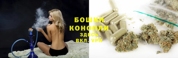 ECSTASY Сосновка