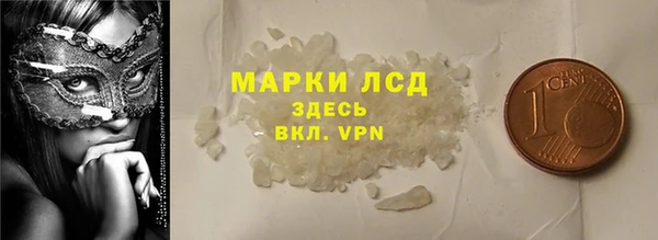 ГАЛЛЮЦИНОГЕННЫЕ ГРИБЫ Няндома