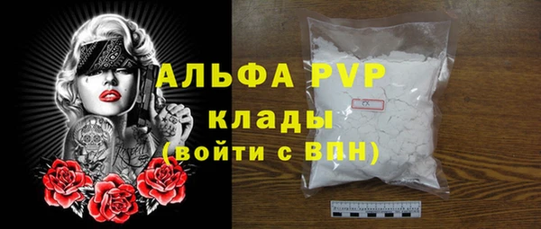 ГАЛЛЮЦИНОГЕННЫЕ ГРИБЫ Няндома
