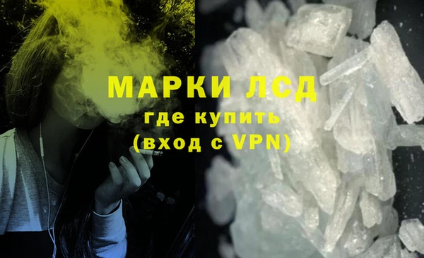 ГАЛЛЮЦИНОГЕННЫЕ ГРИБЫ Няндома