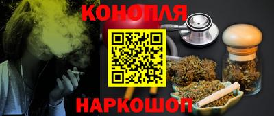 крисы Гагарин