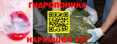 прущая мука Гатчина