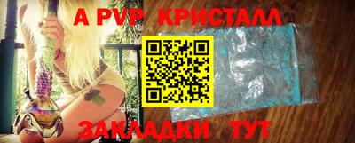 крисы Гагарин