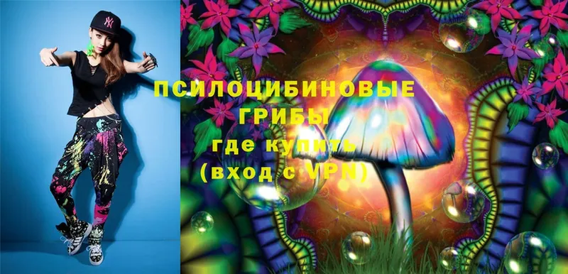 Псилоцибиновые грибы Magic Shrooms  гидра как зайти  Амурск  где найти  