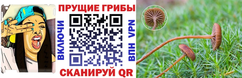 Псилоцибиновые грибы мицелий  Амурск 