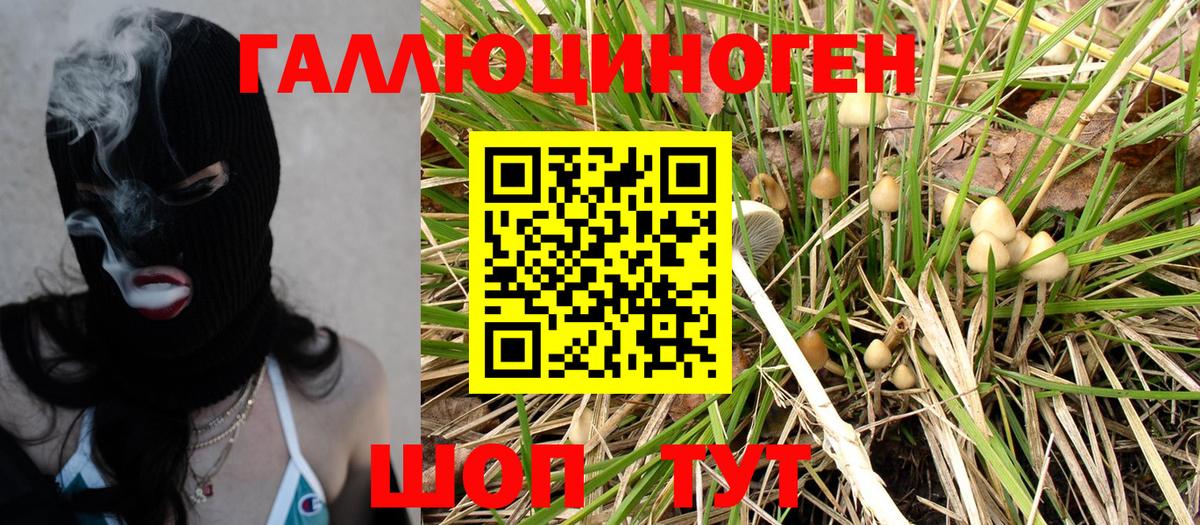 Галлюциногенные грибы прущие грибы  Амурск  Псилоцибиновые грибы Psilocybine cubensis 