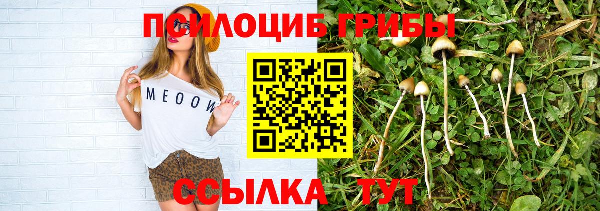 Амурск  Галлюциногенные грибы Cubensis  Псилоцибиновые грибы прущие грибы  Вход с VPN 