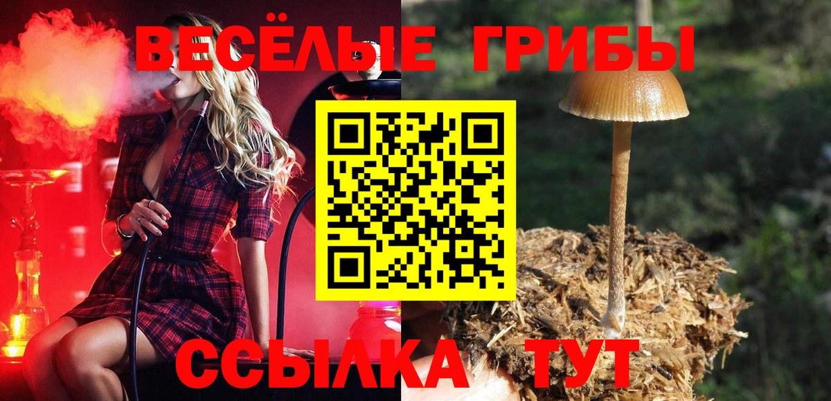 Амурск  закладки  Вход с VPN  Псилоцибиновые грибы мицелий 